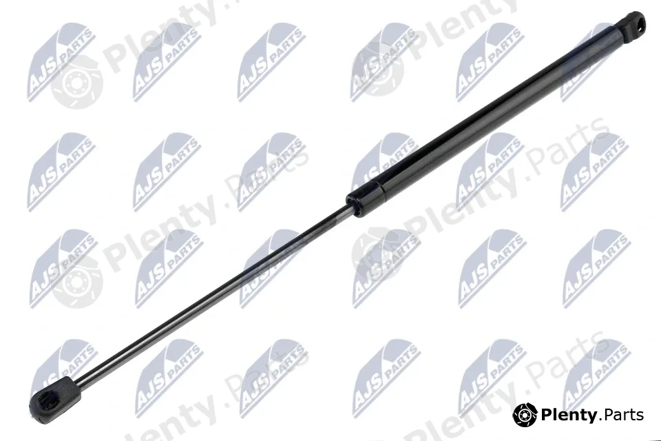 NTY AE-CH-007 — Gas Spring, boot/cargo area