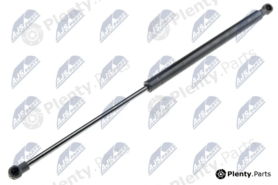 NTY AE-RE-036 — Gas Spring, boot/cargo area