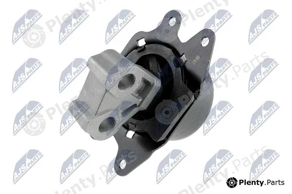 NTY ZPS-PL-017 — Mounting, engine