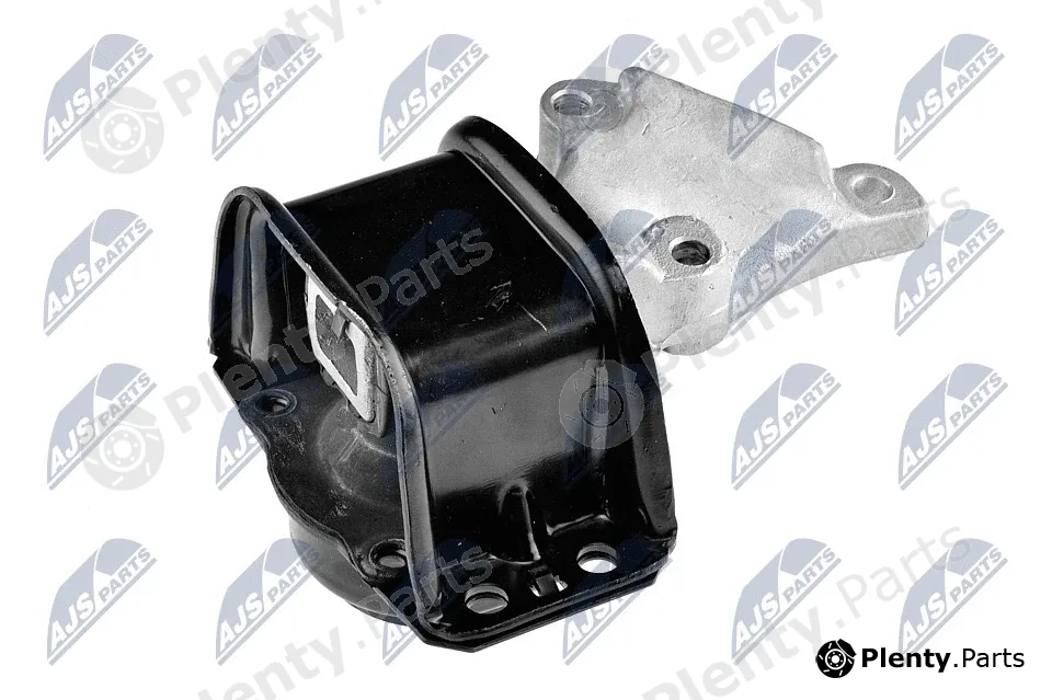 NTY ZPS-PE-007 — Mounting, engine