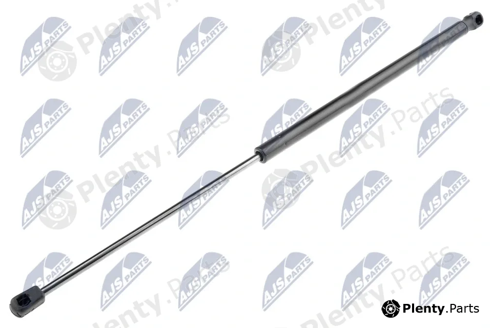 NTY AE-AR-005 — Gas Spring, bonnet