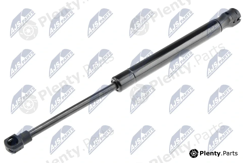 NTY AE-AR-002 — Gas Spring, boot/cargo area