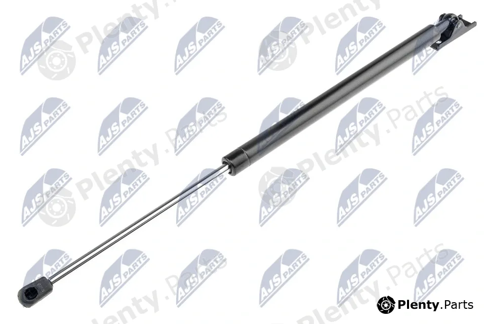 NTY AE-CH-022 — Gas Spring, boot/cargo area