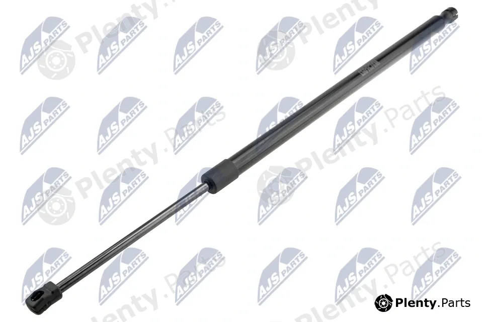 NTY AE-CH-053 — Gas Spring, boot/cargo area