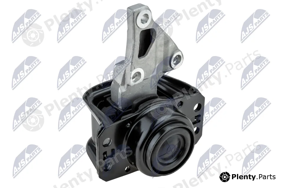 NTY ZPS-PE-012 — Mounting, engine