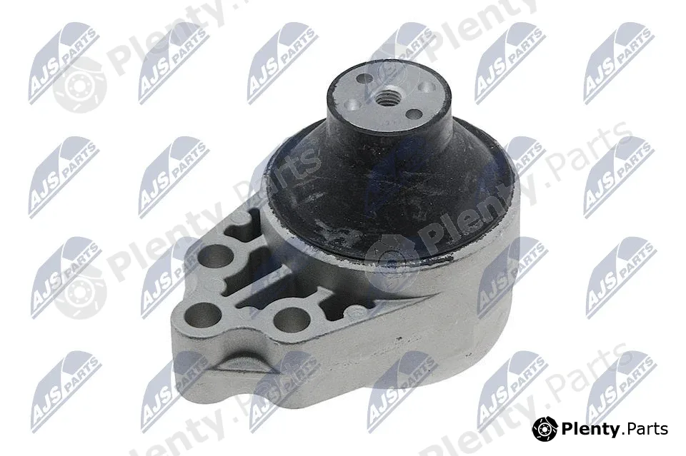 NTY ZPS-FR-028 — Mounting, engine