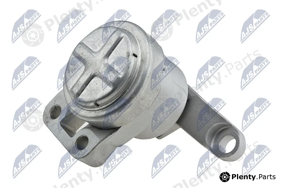 NTY ZPS-FR-033 — Mounting, engine