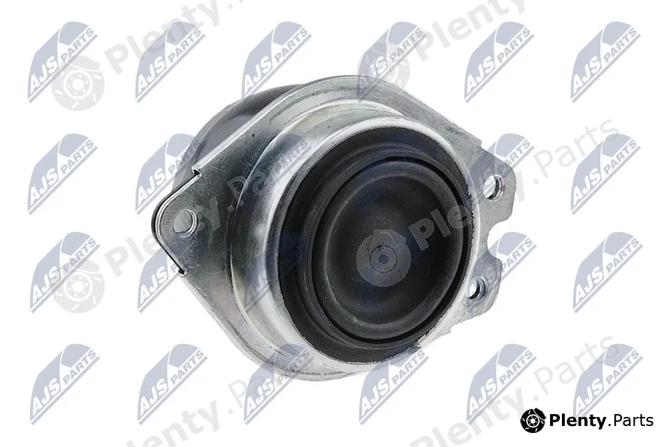 NTY ZPS-RE-046 — Mounting, engine
