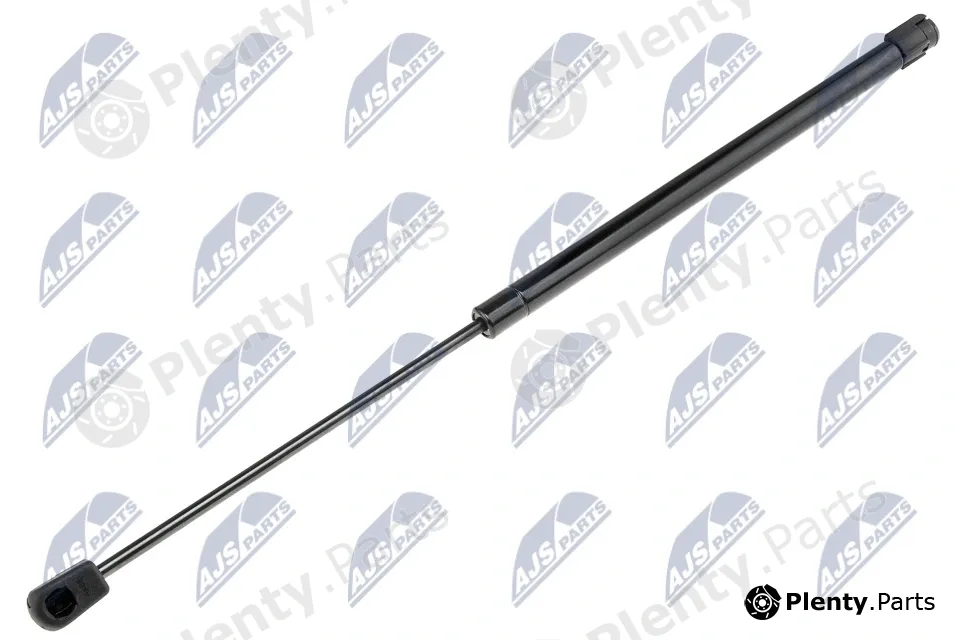 NTY AE-CH-013 — Gas Spring, boot/cargo area