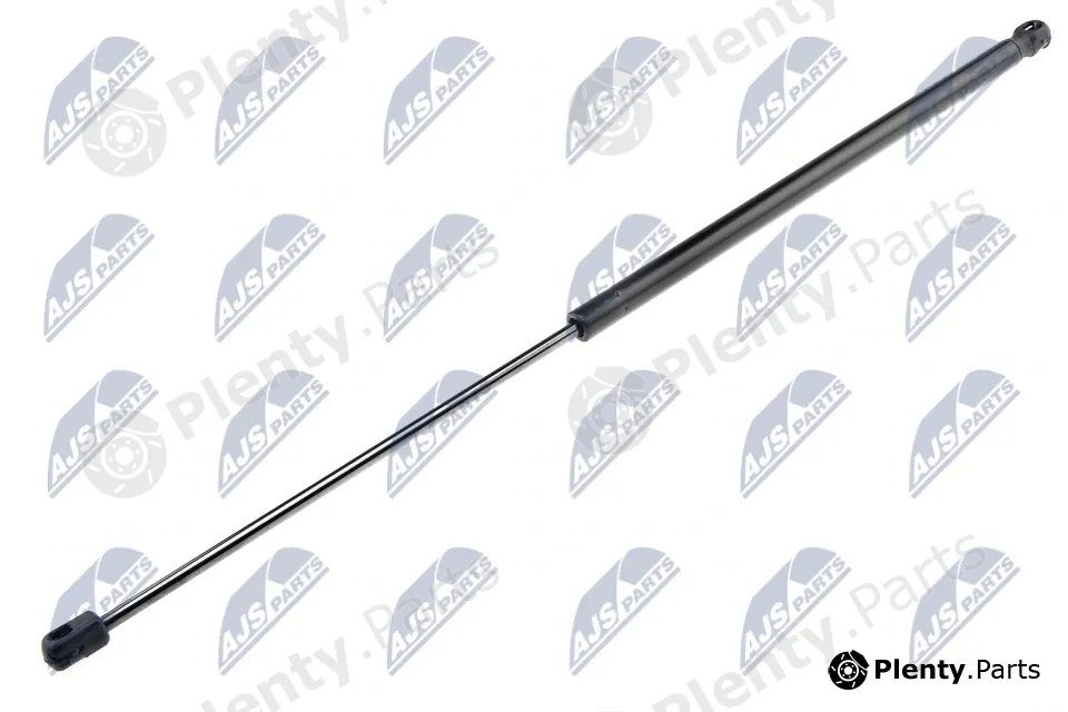 NTY AE-AR-016 — Gas Spring, bonnet