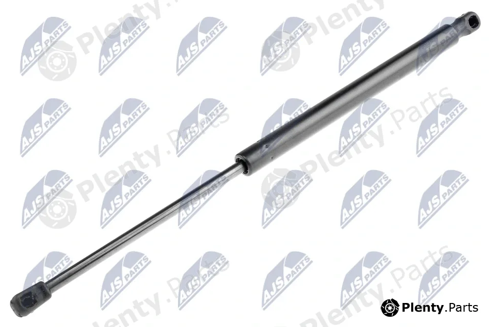 NTY AE-DW-008 — Gas Spring, boot/cargo area