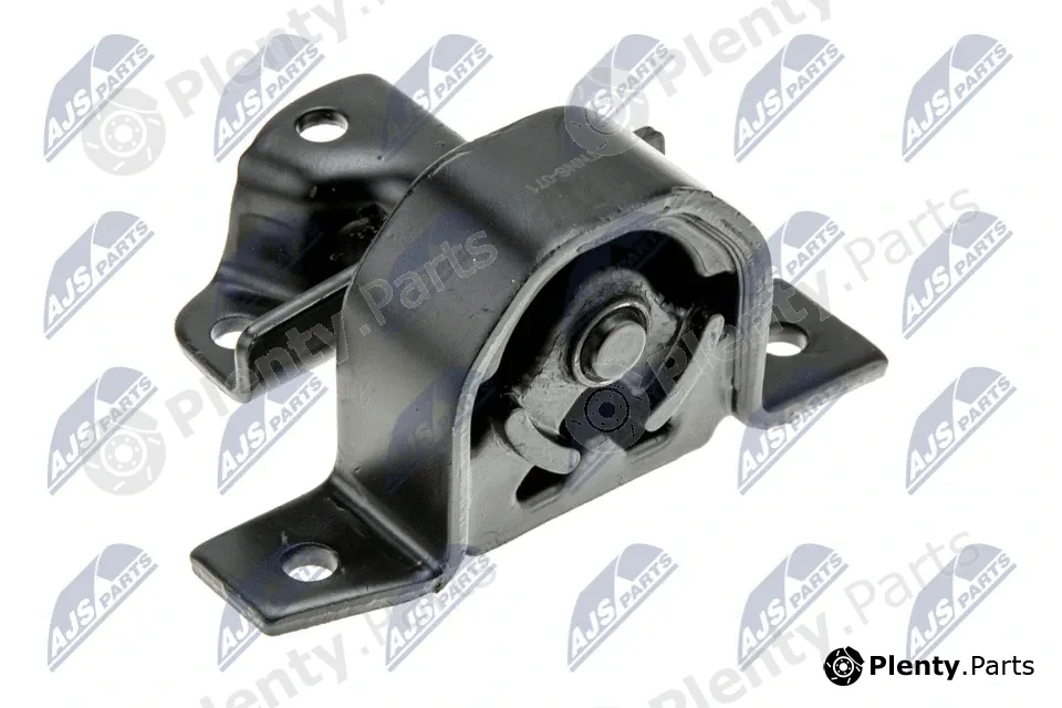 NTY ZPS-NS-071 — Mounting, engine