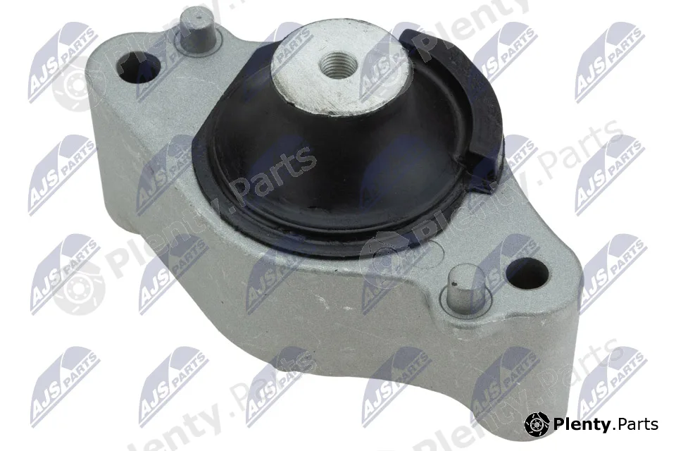 NTY ZPS-TY-115 — Mounting, engine