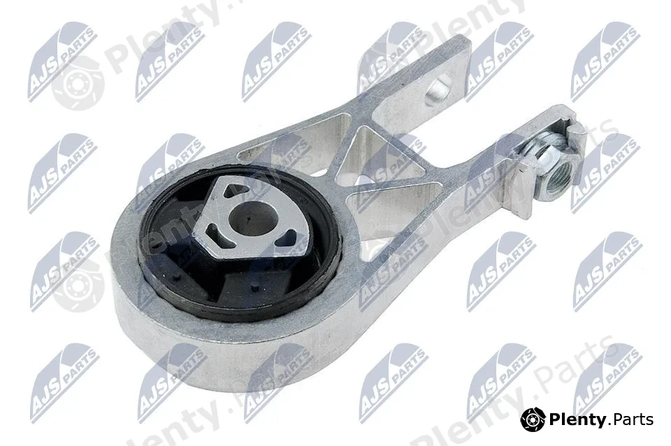 NTY ZPS-PE-002 — Mounting, engine