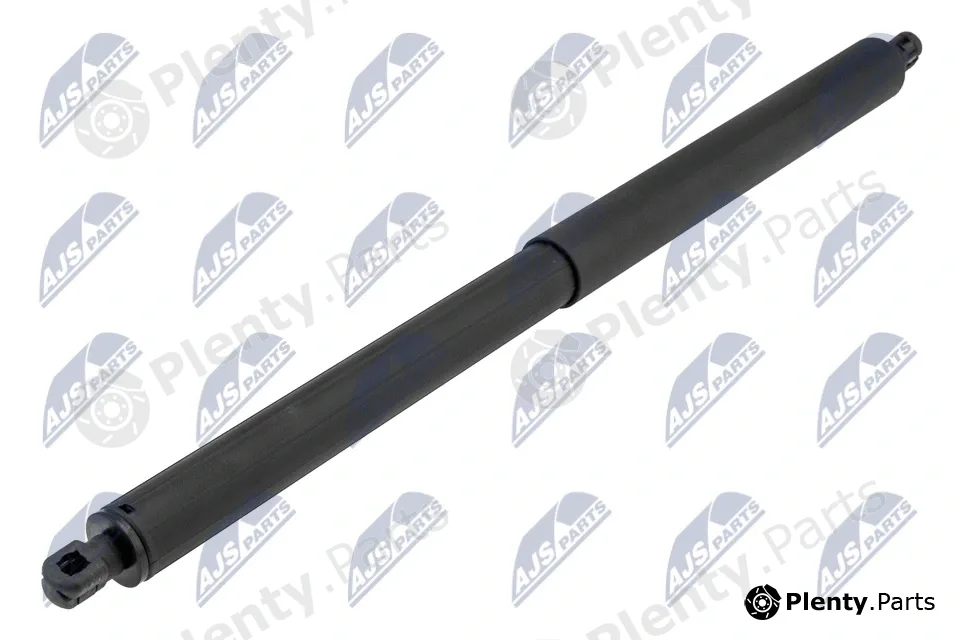 NTY AE-BM-097 — Gas Spring, boot/cargo area