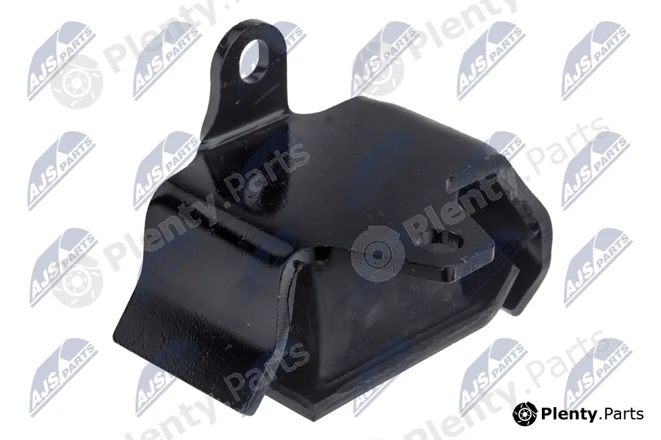 NTY ZPS-NS-101 — Mounting, engine