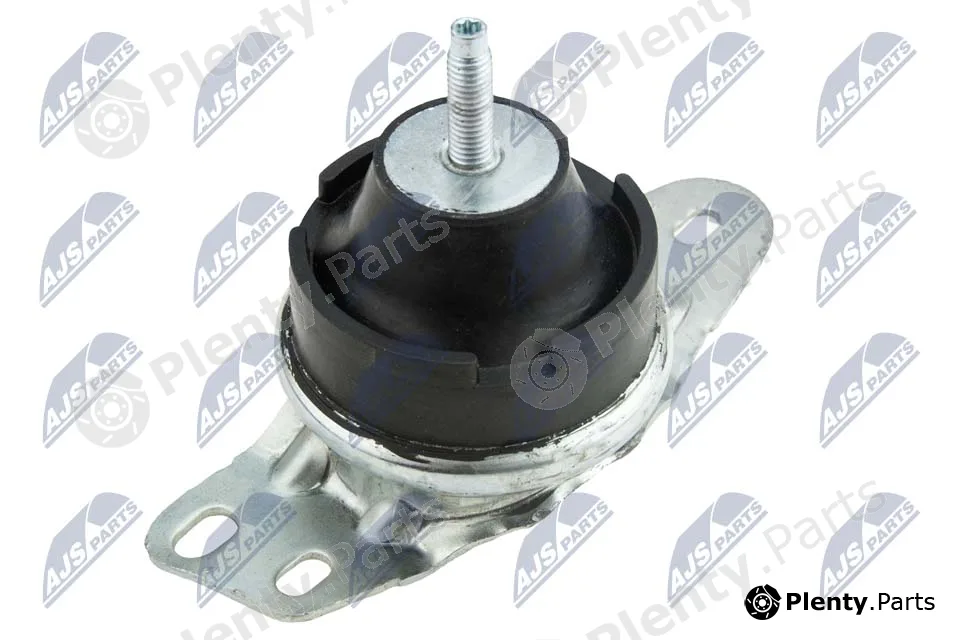 NTY ZPS-FT-035 — Mounting, engine