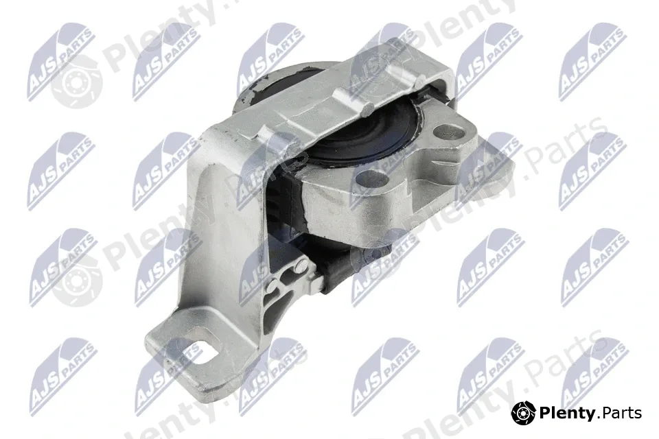 NTY ZPS-MZ-004 — Mounting, engine