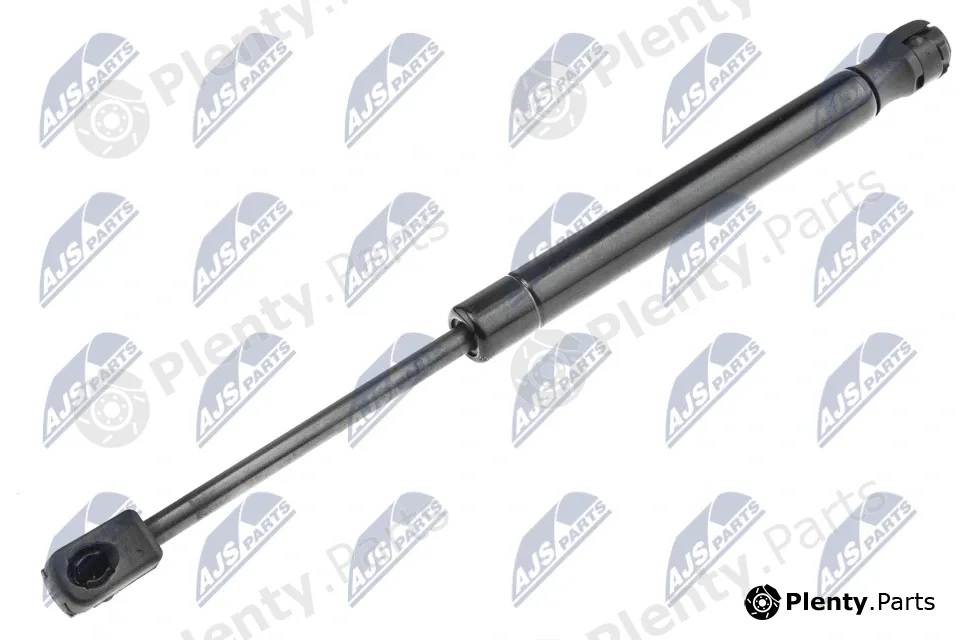 NTY AE-CH-025 — Gas Spring, boot/cargo area