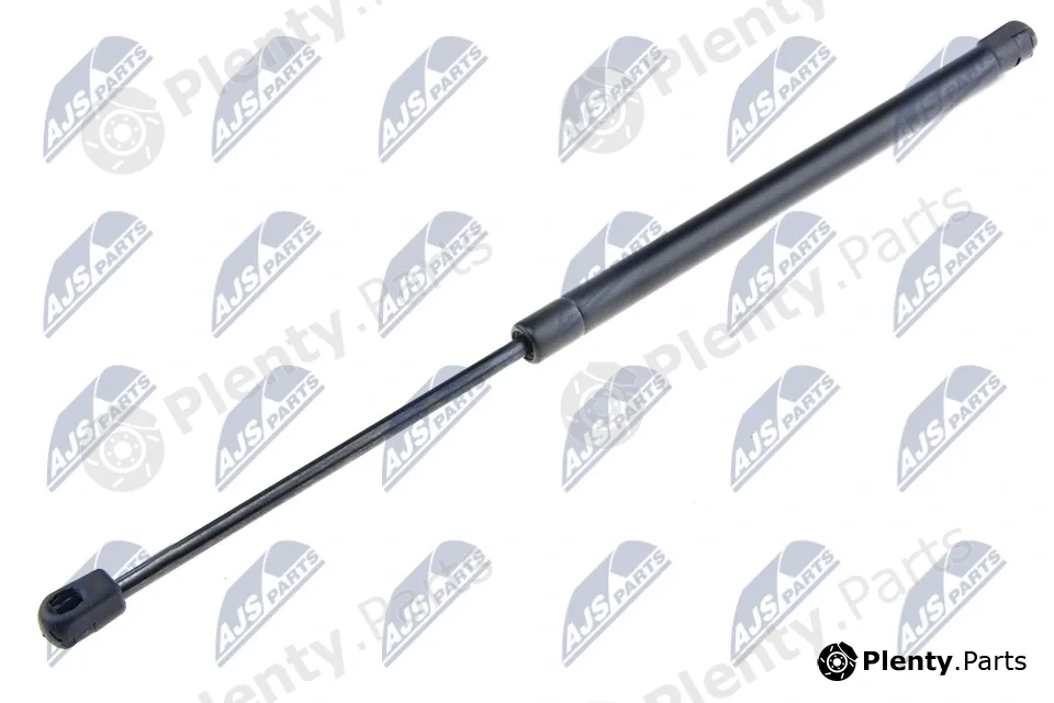 NTY AE-FT-004 — Gas Spring, boot/cargo area