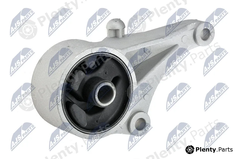 NTY ZPS-PL-032 — Mounting, engine