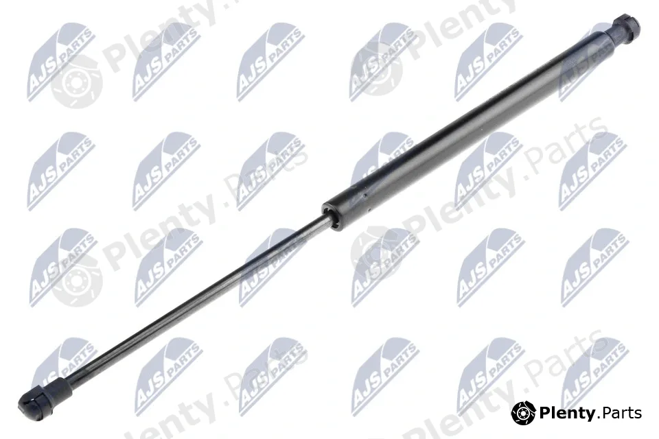 NTY AE-AR-006 — Gas Spring, bonnet