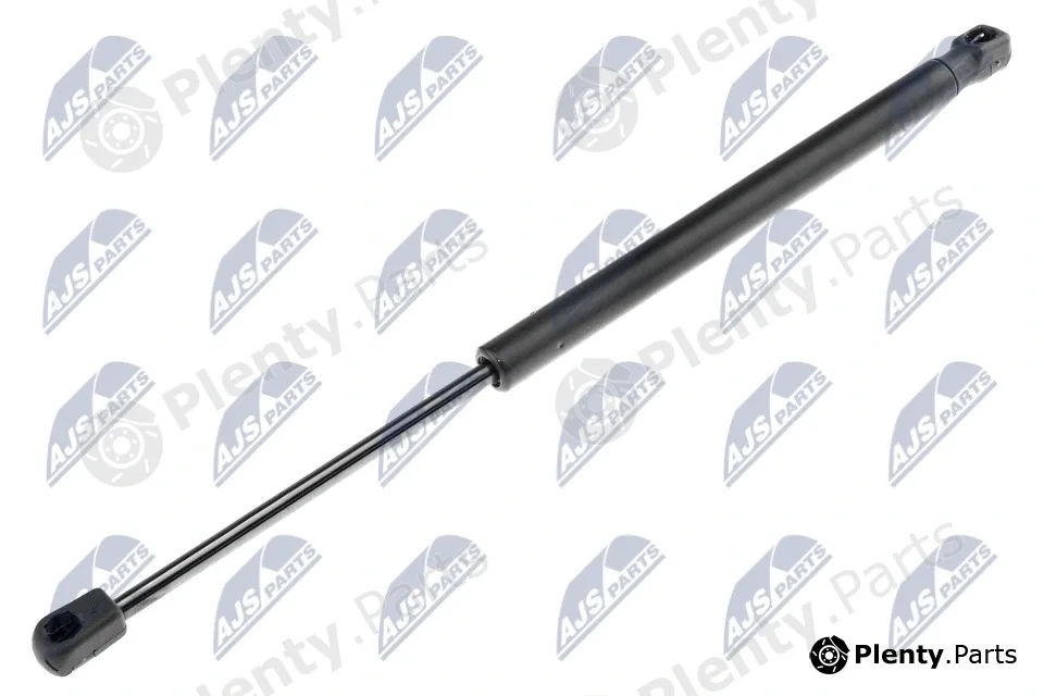 NTY AE-RE-001 — Gas Spring, boot/cargo area
