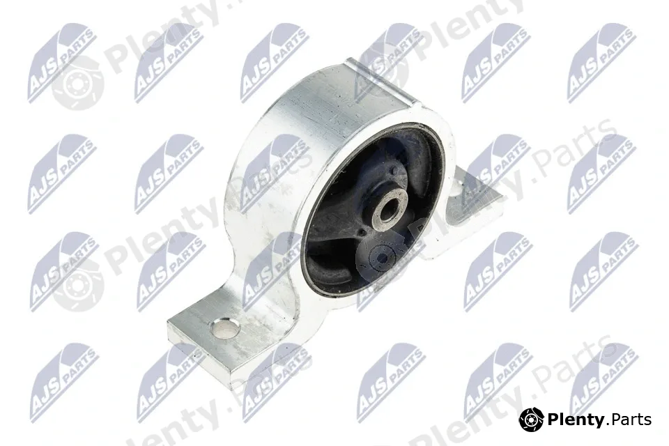 NTY ZPS-NS-073 — Mounting, engine
