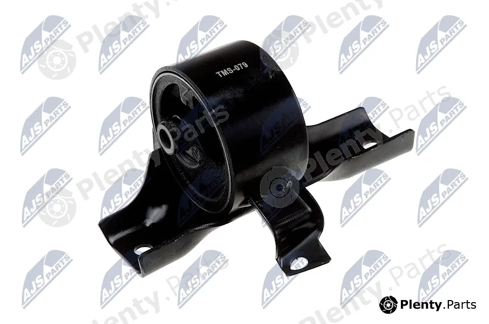 NTY ZPS-MS-079 — Mounting, engine