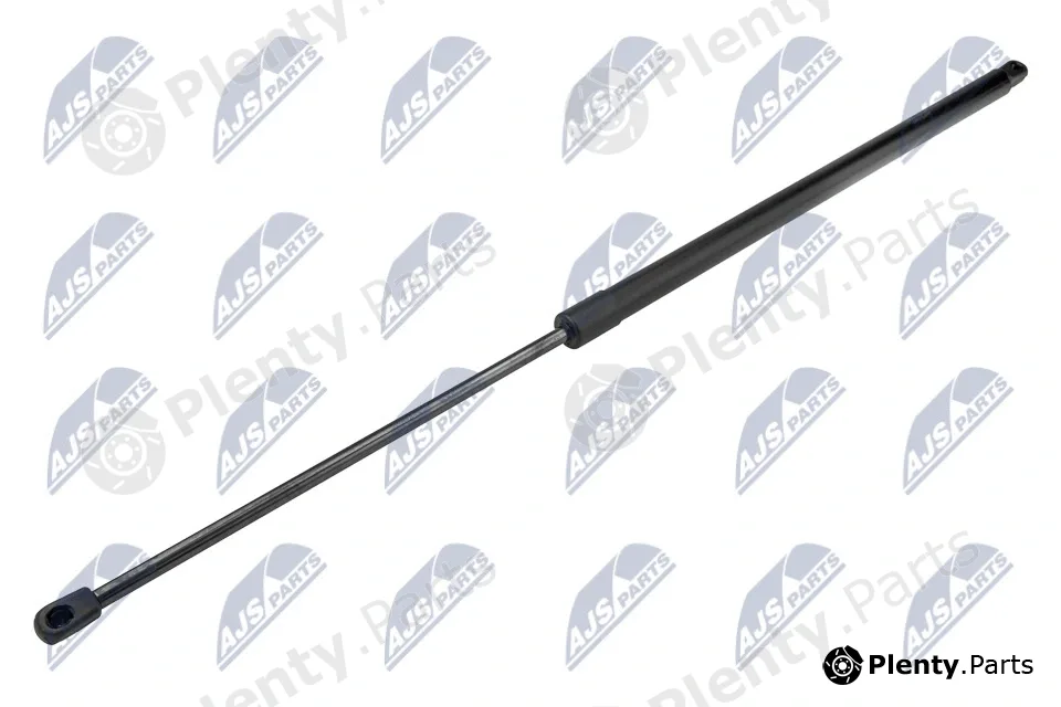 NTY AE-FT-041 — Gas Spring, boot/cargo area