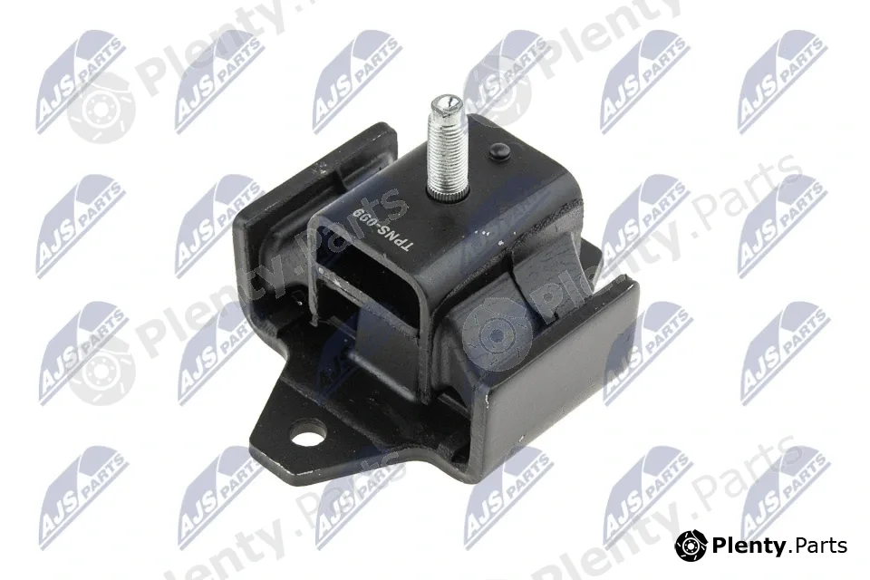 NTY ZPS-NS-099 — Mounting, engine