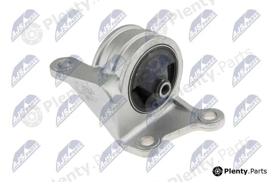 NTY ZPS-MS-044 — Mounting, engine