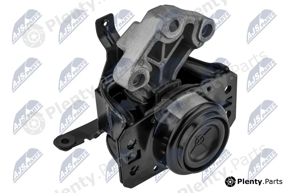 NTY ZPS-PE-027 — Mounting, engine