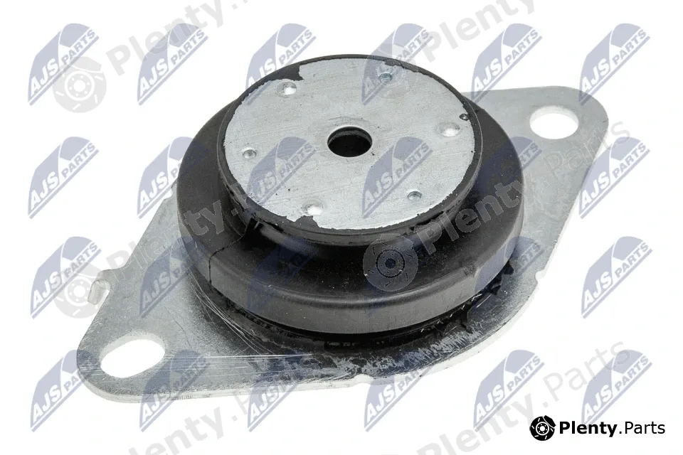 NTY ZPS-RE-061 — Mounting, engine
