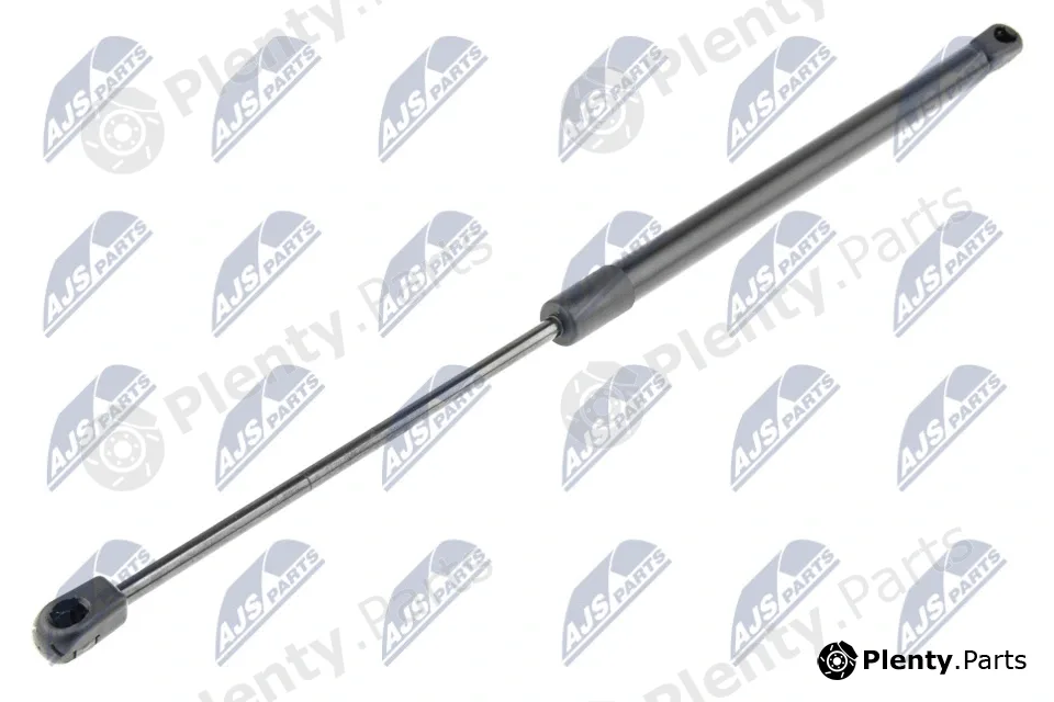 NTY AE-AR-023 — Gas Spring, boot/cargo area
