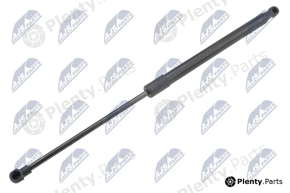 NTY AE-CT-050 — Gas Spring, boot/cargo area