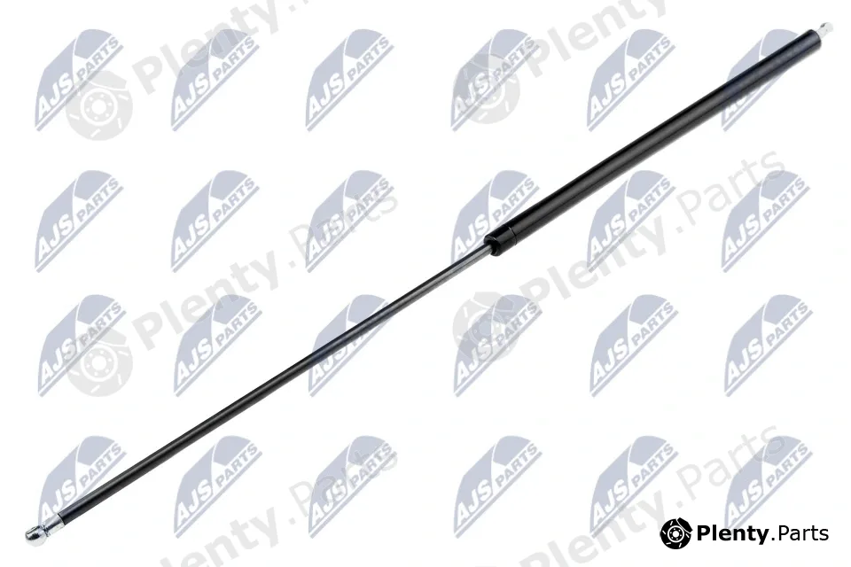 NTY AE-RE-016 — Gas Spring, boot/cargo area