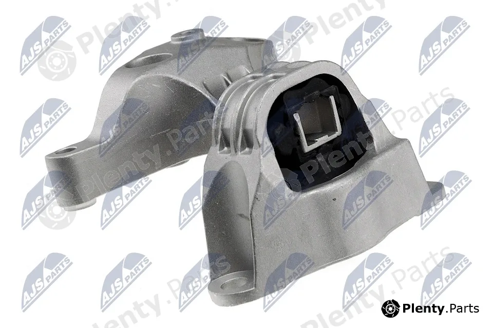 NTY ZPS-RE-007 — Mounting, engine