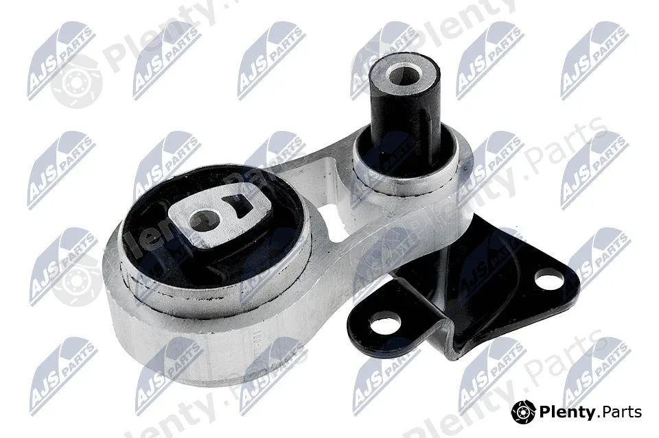 NTY ZPS-FR-001 — Mounting, engine