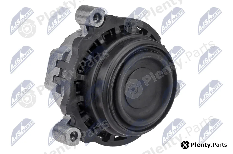 NTY ZPS-BM-028 — Mounting, engine