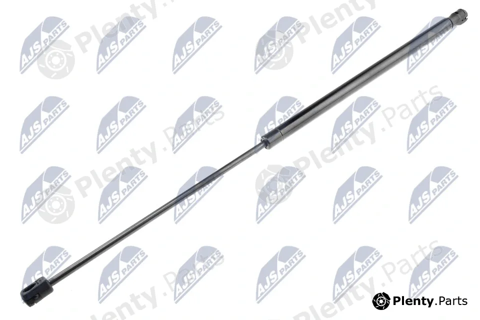 NTY AE-CT-023 — Gas Spring, boot/cargo area