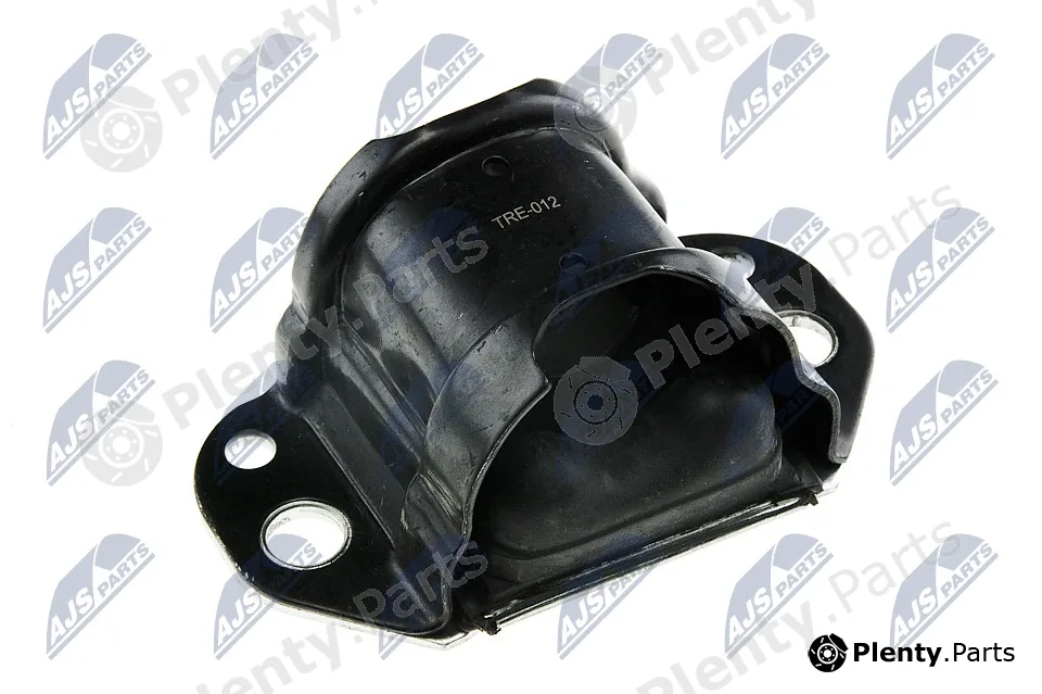 NTY ZPS-RE-012 — Mounting, engine