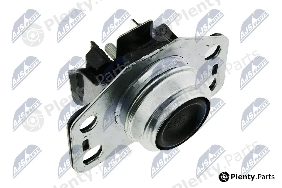 NTY ZPS-RE-025 — Mounting, engine