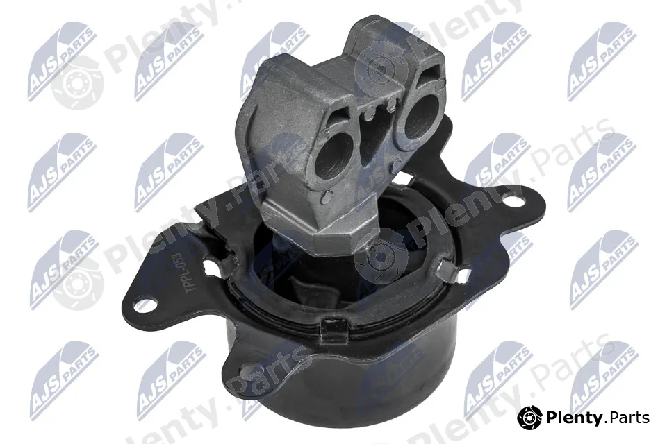 NTY ZPS-PL-053 — Mounting, engine