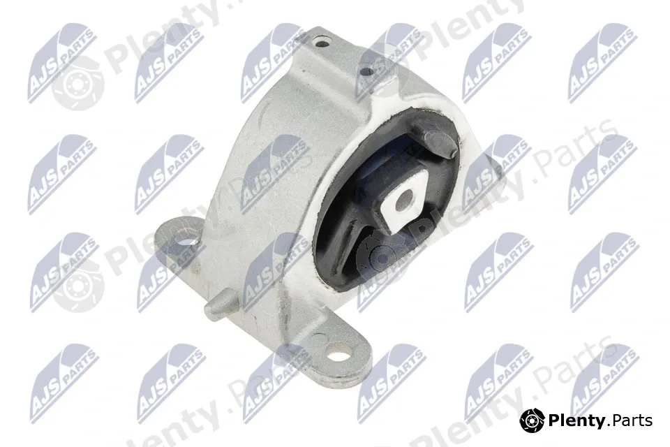 NTY ZPS-CH-002 — Mounting, engine