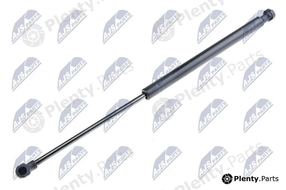 NTY AE-FT-011 — Gas Spring, boot/cargo area