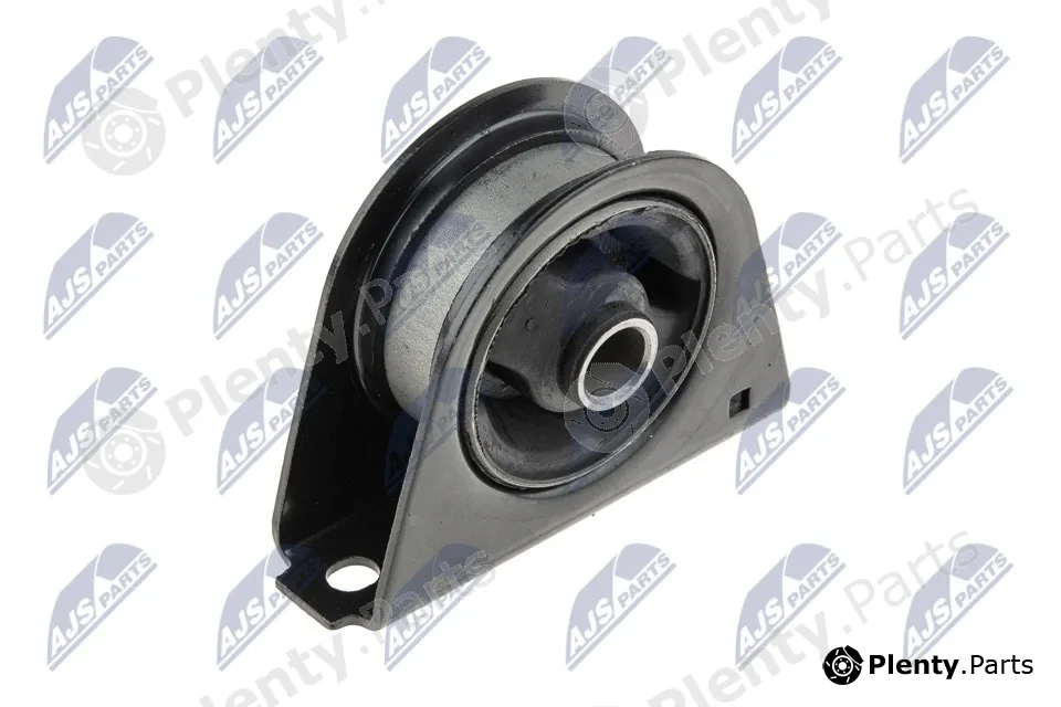 NTY ZPS-MS-009 — Mounting, engine