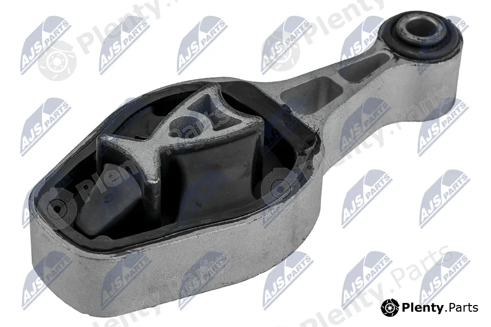 NTY ZPS-PE-021 — Mounting, engine