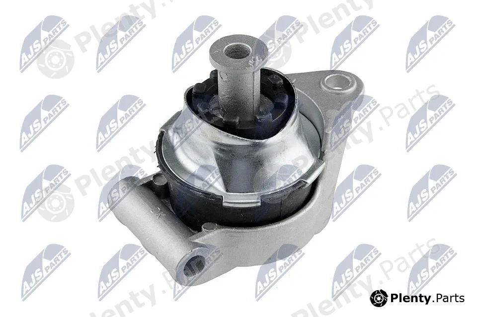 NTY ZPS-PL-003 — Mounting, engine