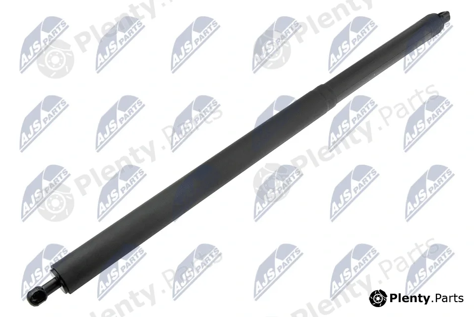 NTY AE-FR-074 — Gas Spring, boot/cargo area
